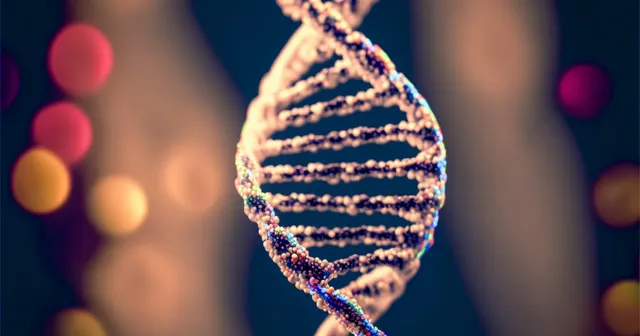 A rendered DNA double helix.